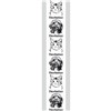 Energiedarm transparent 63/40 (25Abs.) "Tierfutter Hund&Katze"/2-farbig Produktbild