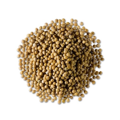 Senfsaat, gelb   -Tagespreis- Btl. 1 kg Produktbild 0 L