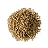 Senfsaat, gelb   -Tagespreis- Btl. 1 kg Produktbild