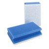 Putzschwamm-Active, blau-weiß 9,5 x 15 x 4,5 cm, Pack 10 St. Produktbild