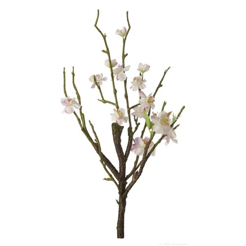 Kirschblütenstrauch, weiß L.: 40,5 cm Produktbild 0 L