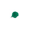 Baseball-Cap, grün 100 % BW, größenverstellbar Produktbild